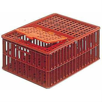 Cages à volailles en plastique Allibert®
