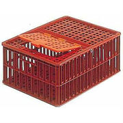 Cages à volailles en plastique Allibert®